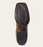 BOTAS ARIAT 10038304