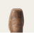 BOTAS ARIAT 10038304