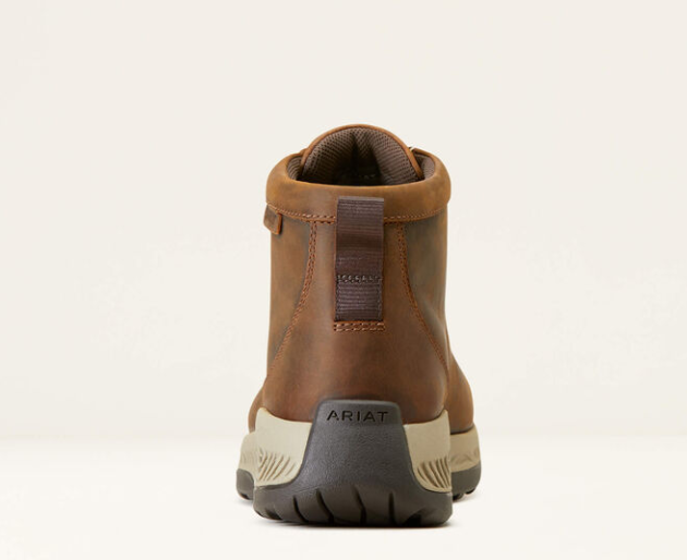 ZAPATO ARIAT 10046958