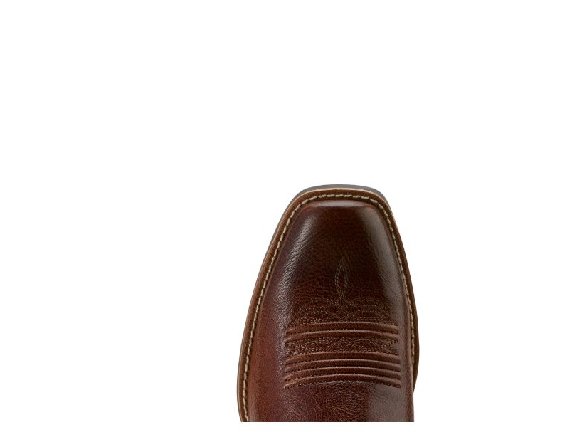 BOTA ARIAT 10061159