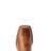 BOTA ARIAT WOMEN 10042534