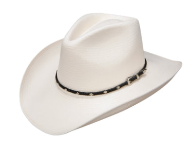 Stetson Diamond Jim 8x