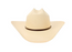 Stetson El Fino Panama Natural