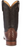 BOTAS LUCCHESE GERARD N3047.C2 SIENNA CAIMAN
