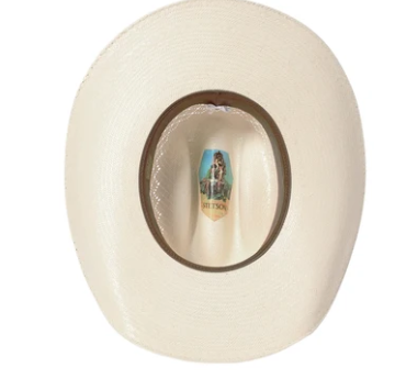 Stetson Ogden 20X Natural
