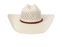 Stetson Ogden 20X Natural