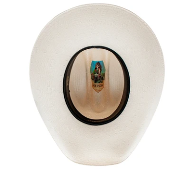 Stetson Silver Lake 10x Natural