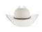 Stetson Silver Lake 10x Natural