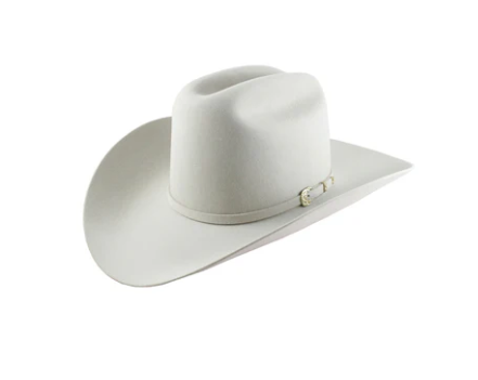 Stetson Palacio 6x Silverbelly