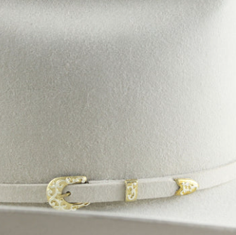 Stetson Palacio 6x Silverbelly