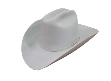 Stetson Palacio 6x Mist Grey