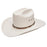 Stetson Angus 10x natural