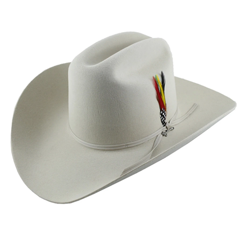 Stetson Rancher 6x Silverbelly